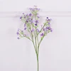 Violet violet