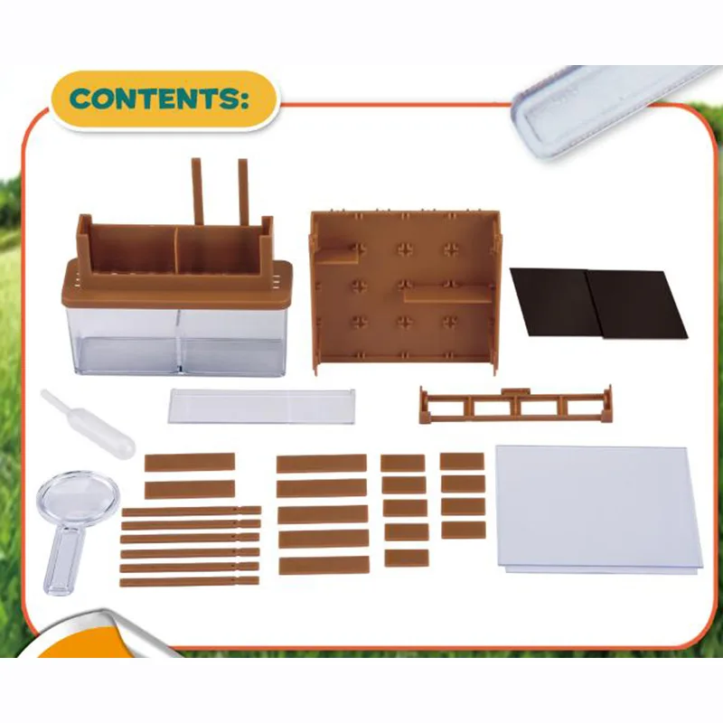 New 2023 Toys Botany Plant Growing Maze Kit Fun Home Lab Sprout