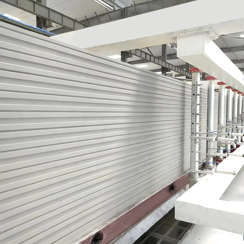 Automatic AAC Block Manufacturing Plant Lightweight Sand Lime AAC Brick Making Machinery Aerocon Aac Blocks Making Machine