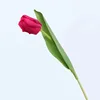Rose madder