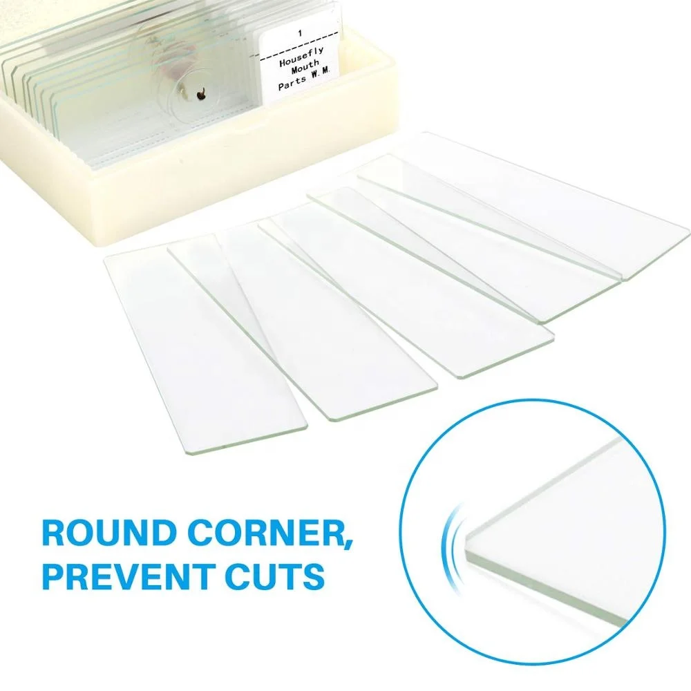 Средняя школа б/у Гистология стекло микроскоп шлепанцы без задника с открытыми пальцами ткани