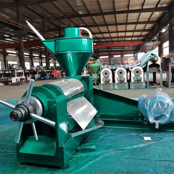 High Efficiency Sacha Inchi Oil Extracting Machine, Hemp Oil Machine Aceite Peanut Oil Press Machine Plant
