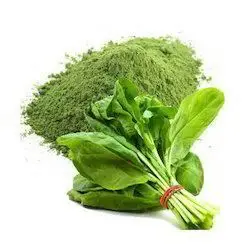 Organic water soluble Spinach Leaves Powder