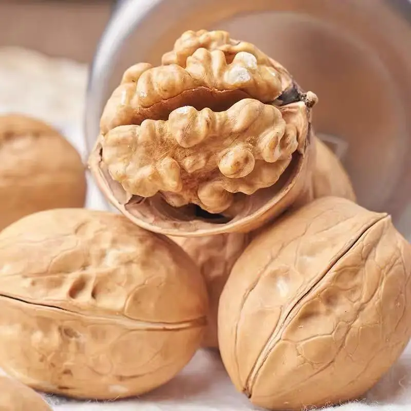 Premium Factory Wholesale Walnut With Shell and Without Shell  Bulk Dried Walnut Available for Sale