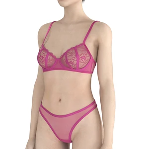 Lace Pantie and Bra Sets Transparent Women Underwear Sexy Lingerie Women Bra & Brief Sets