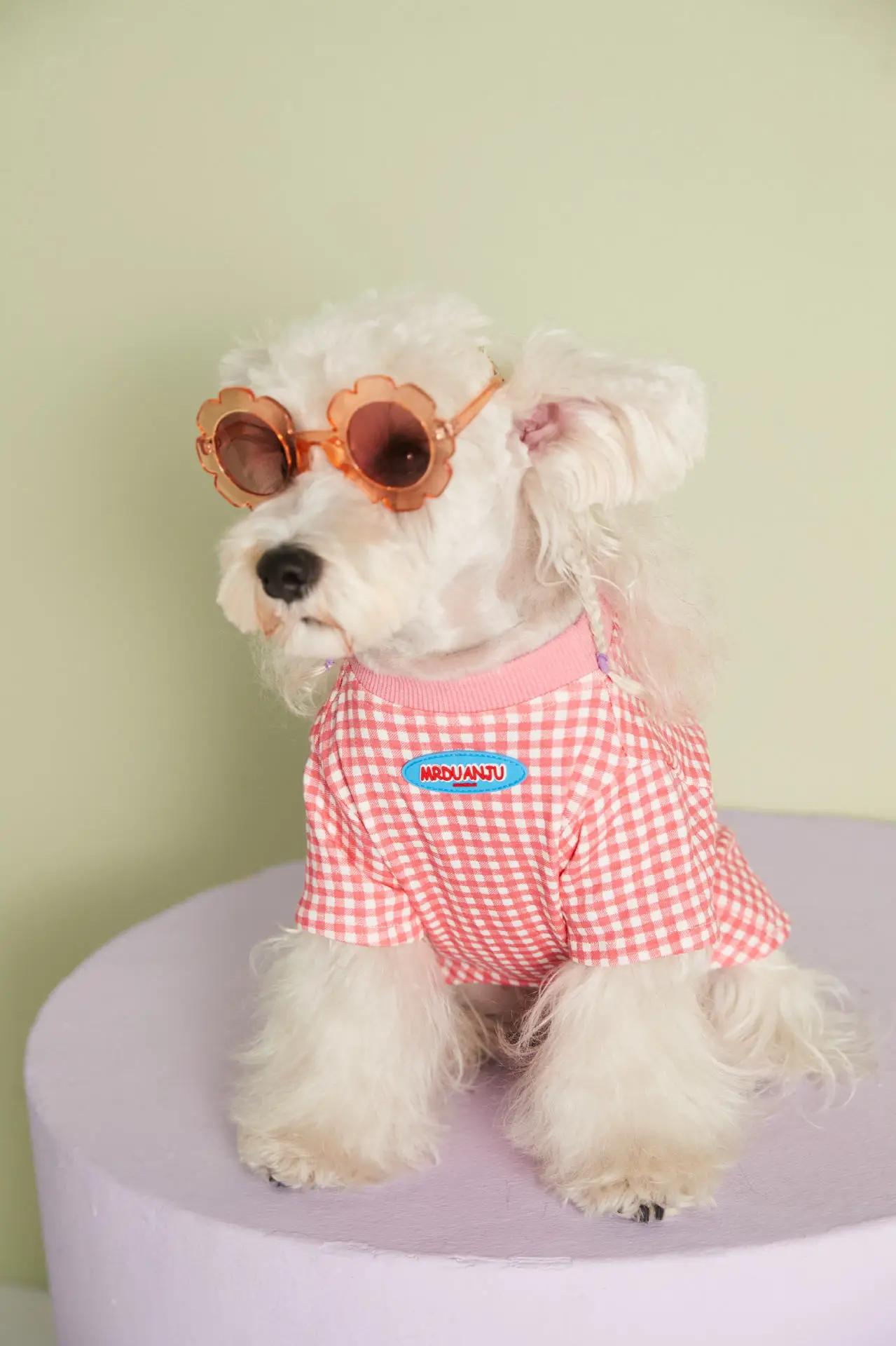 pet clothing wholesale supplier