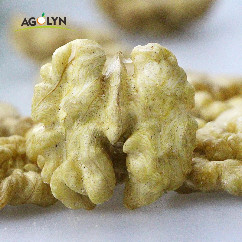AGOLYN Chinese wholesale raw bulk XinJiang walnut in shell