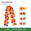 Otoño No.11