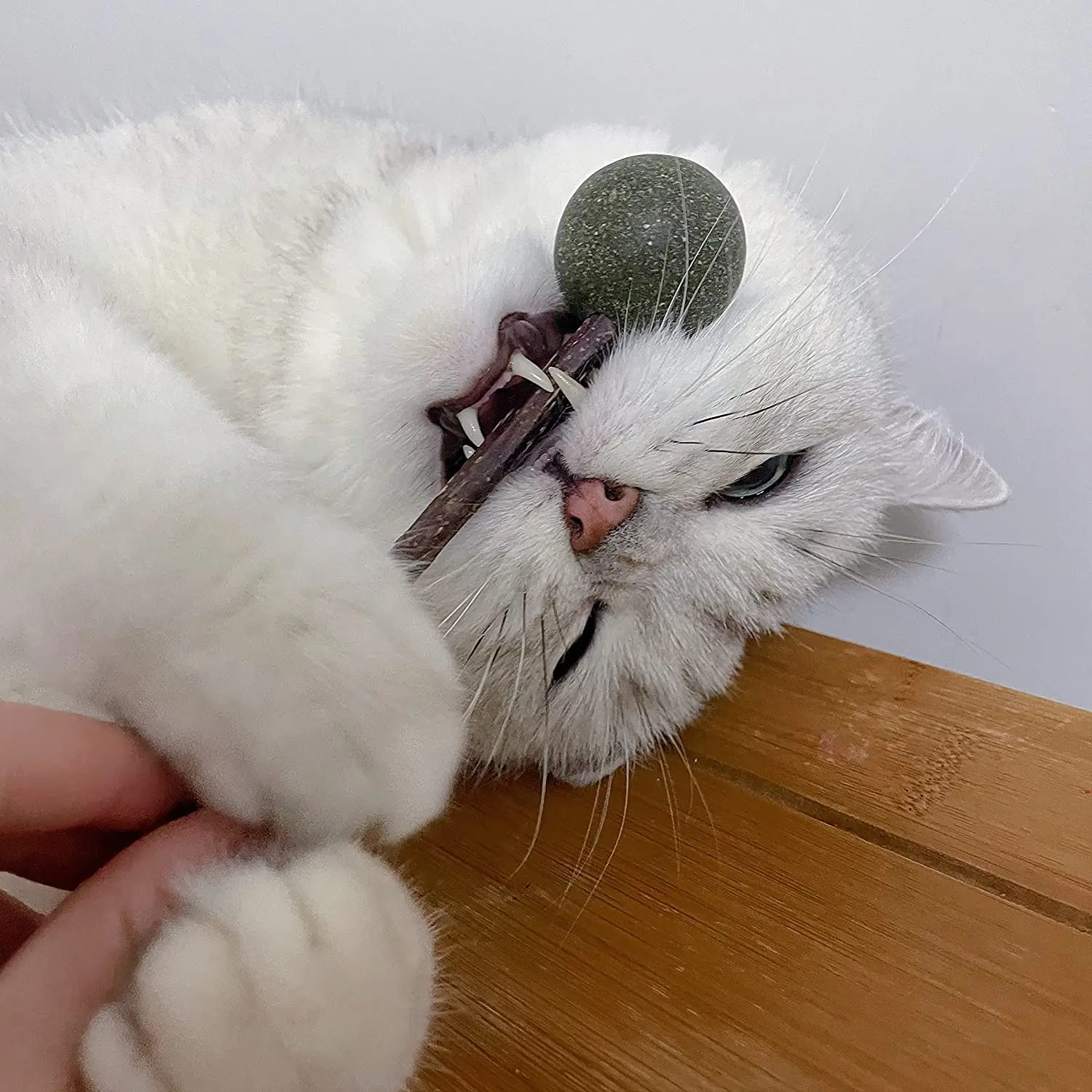 100% натуральная деревянная зубная палочка для чистки кошачьей мяты, натуральная зубная палочка для кошачьей мяты, игрушка для кошачьей мяты