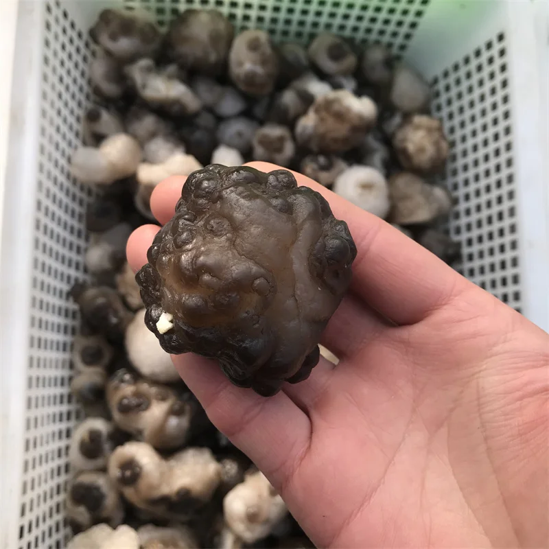 mi瑪瑙　天然パンダ彫りパーツ　10-222 mi様専用瑪瑙 天然パンダ彫りパーツ 10-222 ai | HuuHuu Online Store