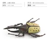 PL127-1149 Magnopus longiformis 58g
