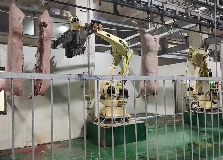 Pig Carcass Half Splitting Cutting Splitter Saw Machine| Alibaba.com
