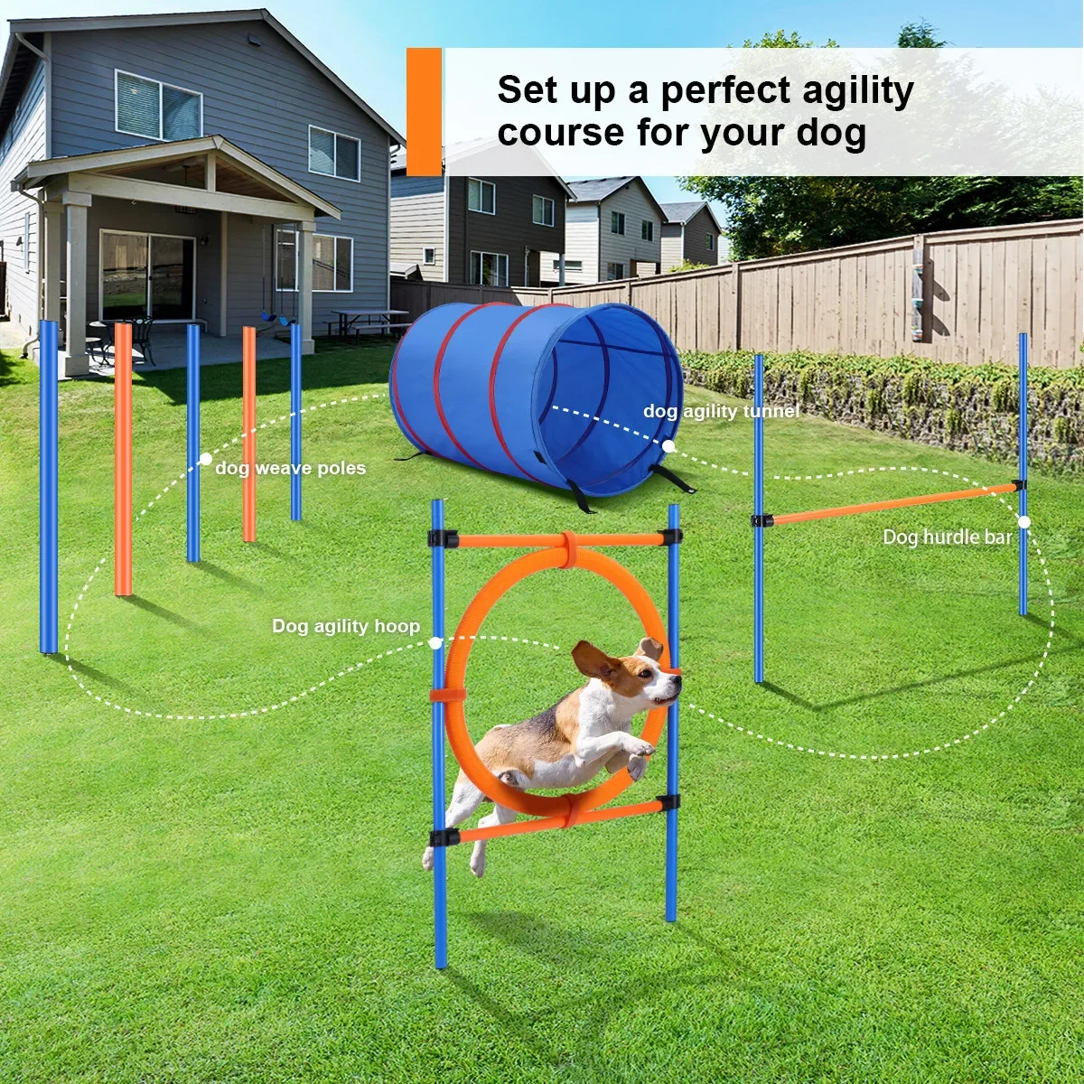 PAWISE Pet Dogs Outdoor Games Agility Exercise Training Equipment