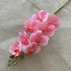 rosa-4