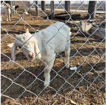 Hot-selling Chain Link Fence PVC Coated Galvanized Chain-link Fence Anti-rust Chain Link Fence