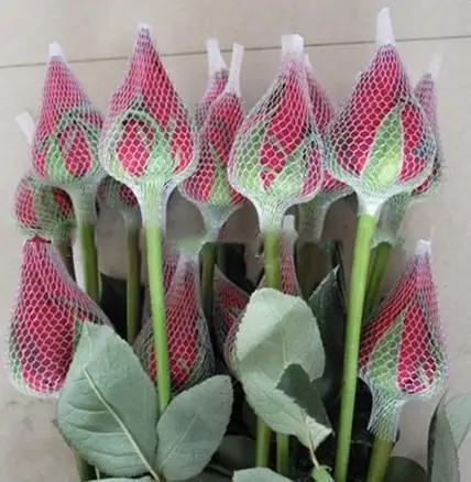Eco-friendly Factory Produce Protection Rose Bud Flower Wrap Foam Soaks Net