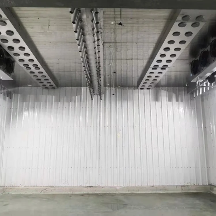 Frozen meat thawing chamber with efficient low temperature and high humidity control system