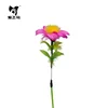 Cosmos long-stemmed cat toy