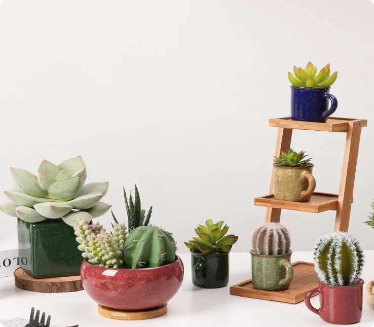 Ceramic Square Succulent Pots - Perfect for Home & Office