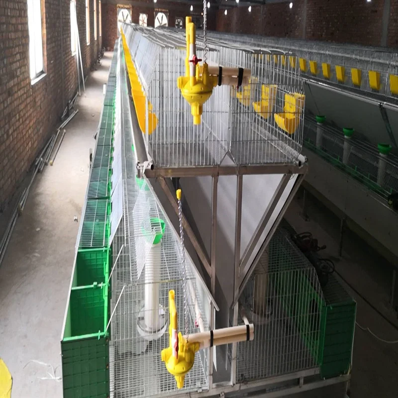 Фермерская клетка для мамы и