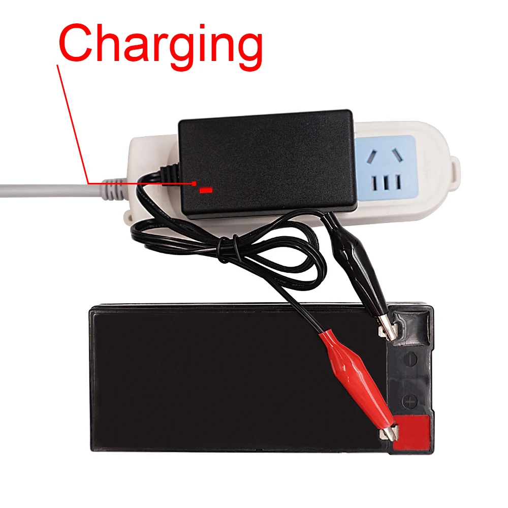 12v sla charger.jpg