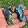 Seahorse Carving Hand Carved