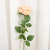 Champagne color, 45*10CM