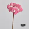 Deep Pink