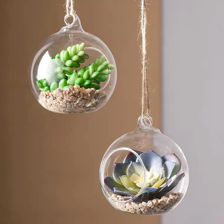 Good Quality Top Selling Glass Ball Hanging Plants Hydroponic Vase