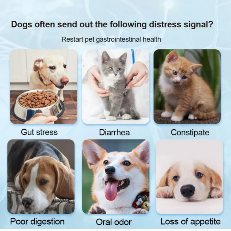 Пищевые добавки OEM/ODM для домашних животных уменьшающие средство ухода за здоровьем пробиотики маленьких котят