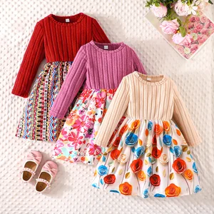 2026 Wholesale Autumn Winter Children Boutique Cotton Breathable Eco-Friendly A-Line Long Sleeve Neck Print Knit Princess