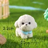 #14 Grey Bichon Frise