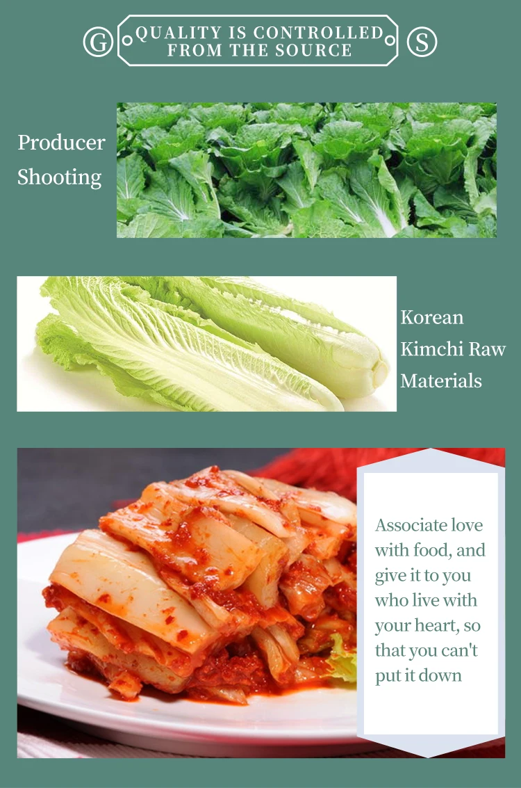 Brine Preserved Spicy Cabbage Kimchi Chou Epice Korean Kimchi Cabbage