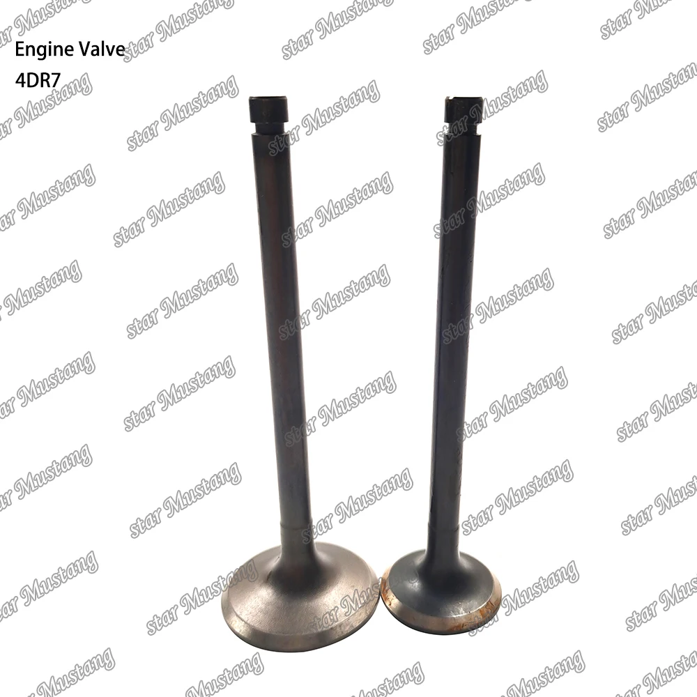 4DR7 Engine Valve Suitable for Mitsubishi Engine Parts