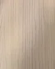 BL25-S96L