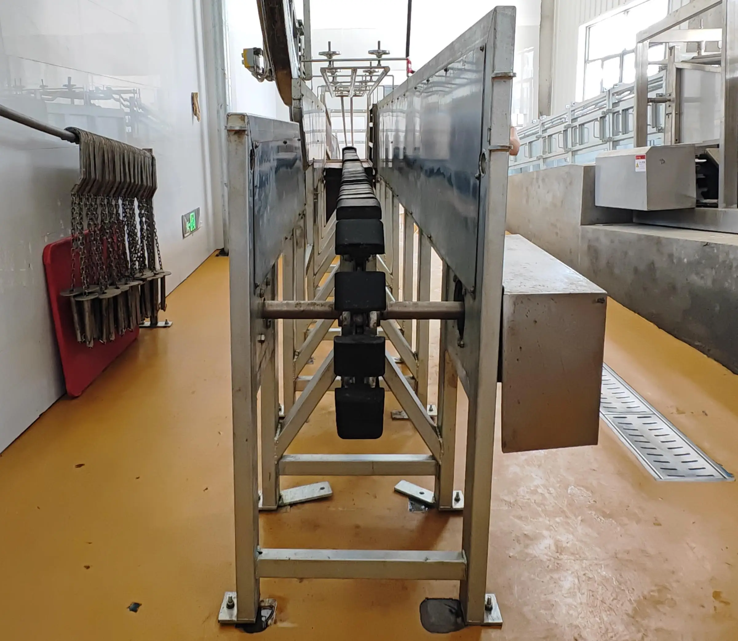 Fully automatic pig slaughtering line in a modern slaughterhouse with electric shock system