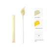 light yellow