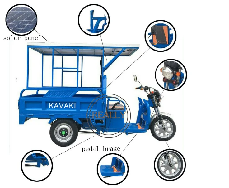 Oem 3 Wheels Electric Tricycles High Load Agricultural Van Cargo Bike