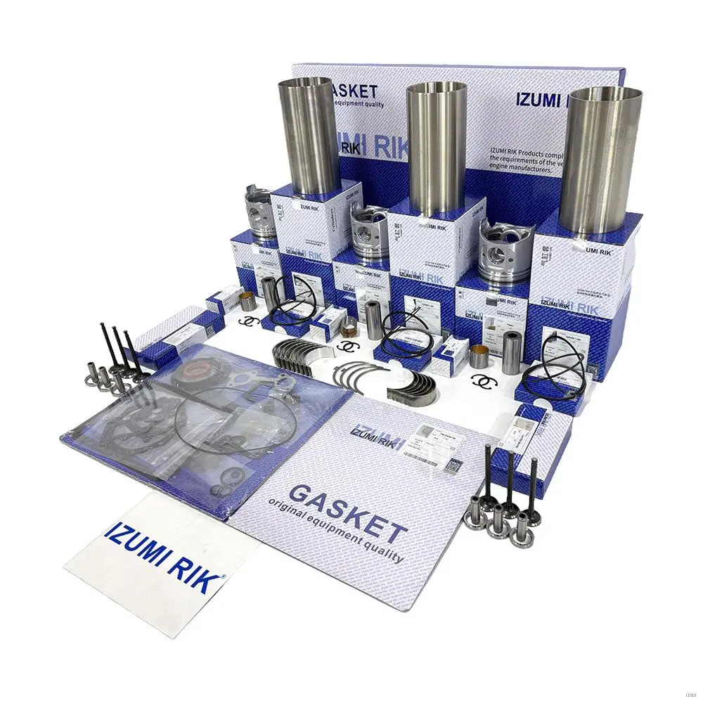 Industrial Engine Parts IZUMI RIK F3L914 Overhaul Rebuild Kit for Deutz