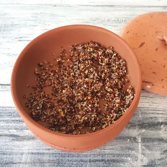 Wholesale Ceramic Germinating Sprouts Clay Sprouter Kit Terracotta Tower Seed Sprouting Trays