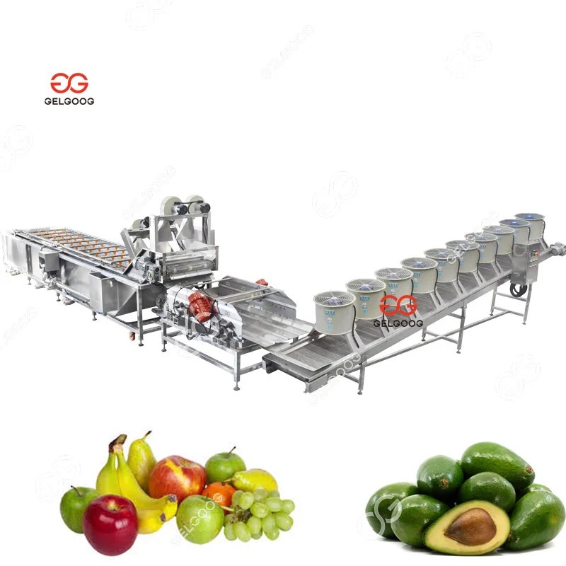 Gelgoog 500Kg/H Avocado Washing and Packing Processing Plant Mandarin Orange Cleaning Sorting Machine for Orange