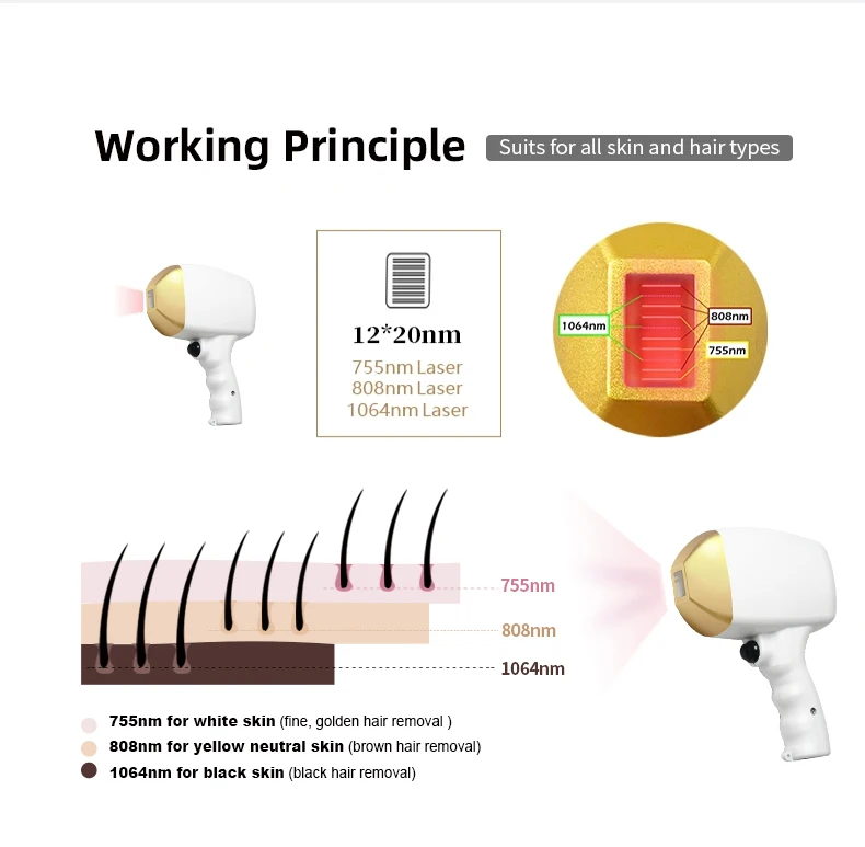 Triple Wavelength 808 Nm Laser Diode 3 Waves 755nm 808nm 1064nm Laser