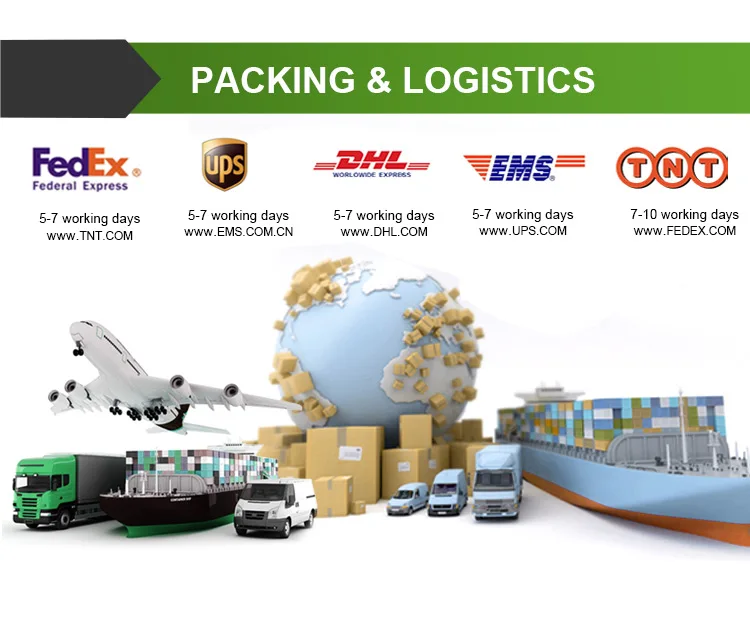 smart home voice app control automatic Electric roller blind motorized shutter Double layer blackout Motorized zebra blinds