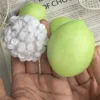 Blocchi Croccanti al Limone