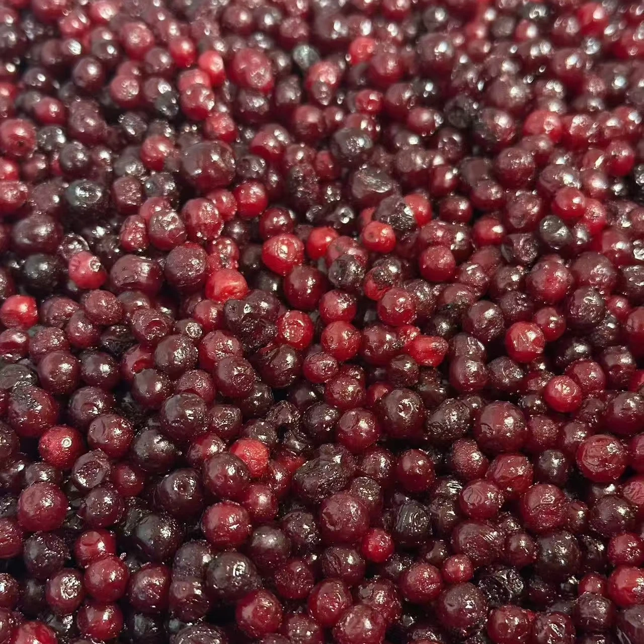 Hind hinnapakkumine IQF külmutatud kanarbiku premium külmutatud viljad müügiks