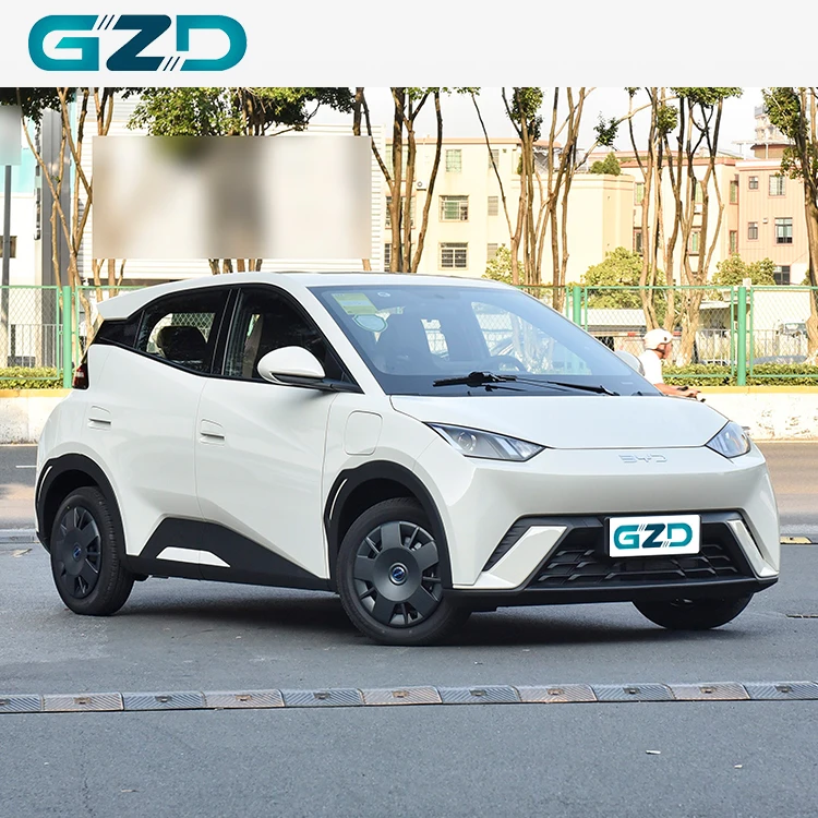 Byd Seagull 2025 International Version Pure Electric Vehicle Mini Car