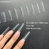 XL Cercueil No C 500Pcs Clair