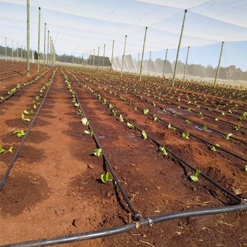 2 Ha Watering System Goute a Goute Irrigation Drip Tape 20Mil Thickness 0.4mm 0.3mm Drip Hose