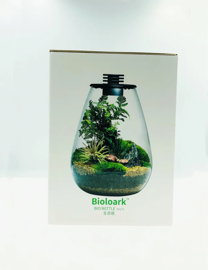 Terrarium fles met verlichting | Creëer jouw mini-ecosysteem