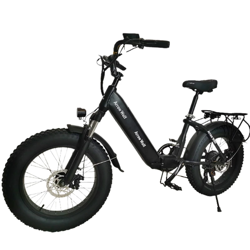 Electric Bike 20 Inch Foldable 4.0 Fat Tire Ebike Mountain Power Assisted Electric Men's Bike